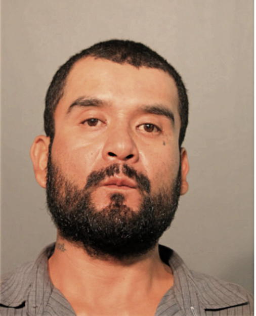 FERNANDO GONZALEZ, Cook County, Illinois