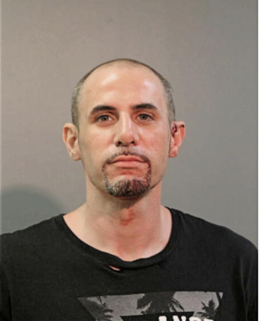JOSEPH A HALTERS, Cook County, Illinois