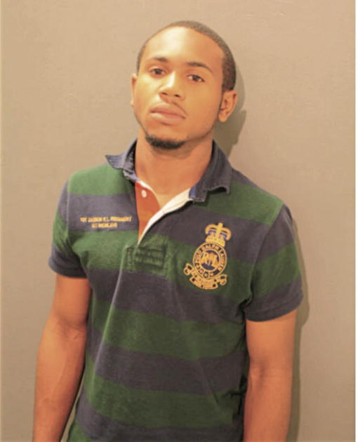 NATHAN L HILL, Cook County, Illinois