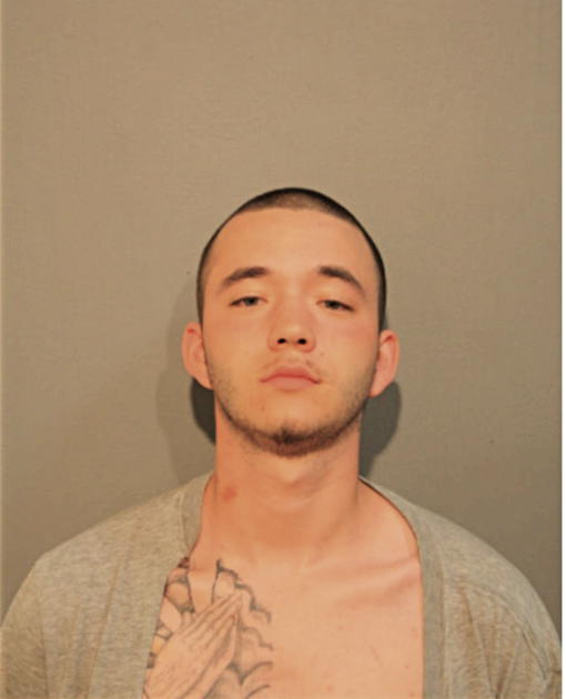 ALEX HUBBARD, Cook County, Illinois