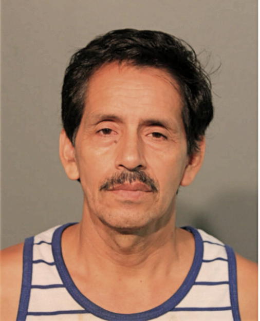 LUIS JIMBO-BRAVO, Cook County, Illinois