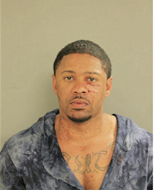CALVIN L JOHNSON, Cook County, Illinois
