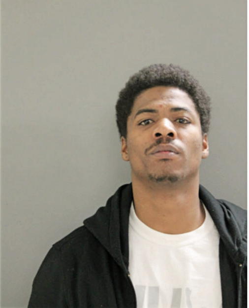 JUSTIN M JOHNSON, Cook County, Illinois