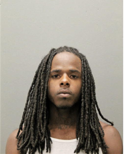 LAFONTA M JOHNSON, Cook County, Illinois