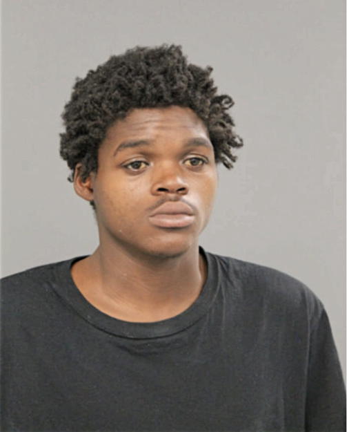 TYRICE LOVELL JOHNSON, Cook County, Illinois
