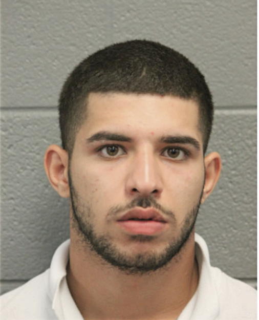MAHDI S MAHDI, Cook County, Illinois
