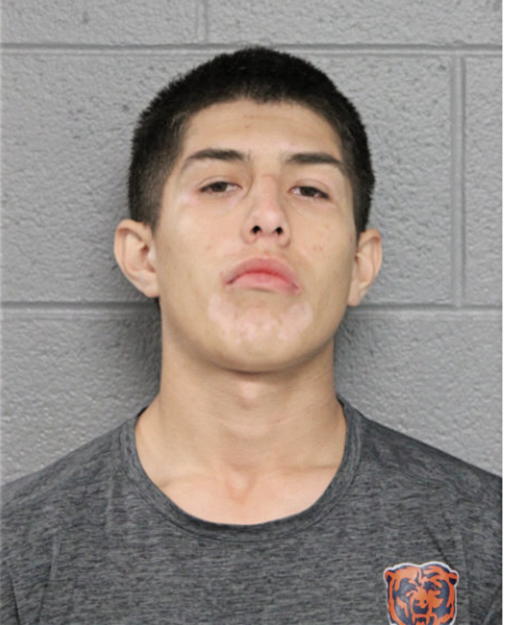 MATTHEW J RANGEL, Cook County, Illinois