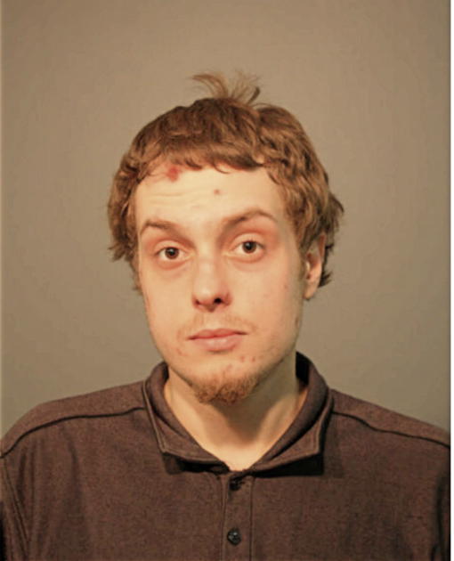 DIMITRIOS STEVEN SIMMS, Cook County, Illinois