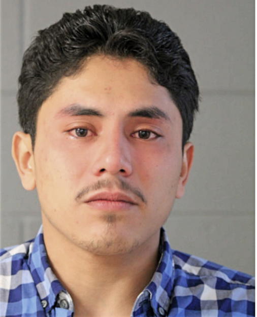 ADRIAN SINALOA, Cook County, Illinois