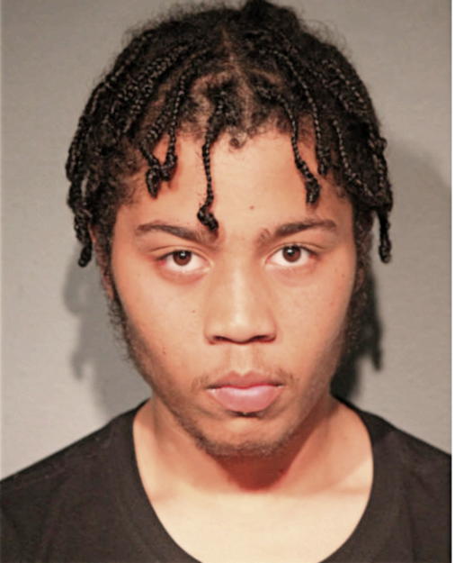 SOLOMON Q SMITH, Cook County, Illinois