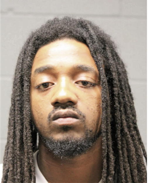 WARREN W STRENGER, Cook County, Illinois
