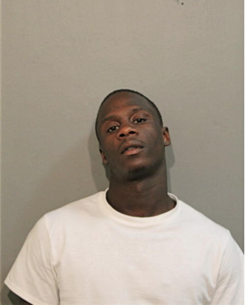 CAREY L WARREN, Cook County, Illinois
