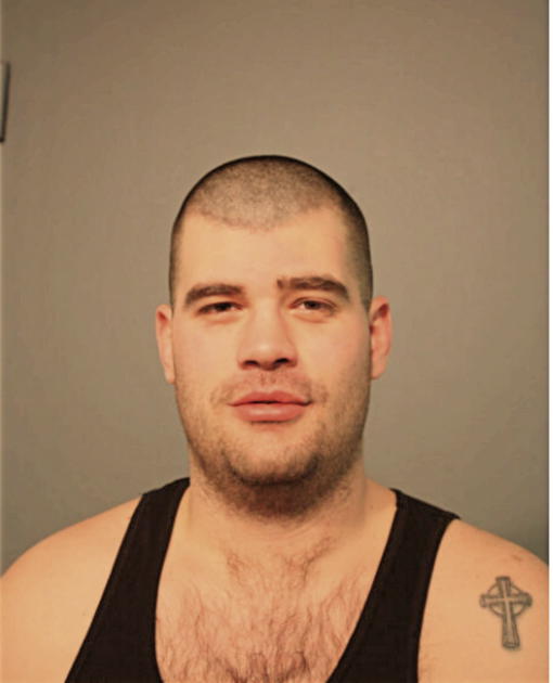 CHRISTOPHER R WOOD, Cook County, Illinois