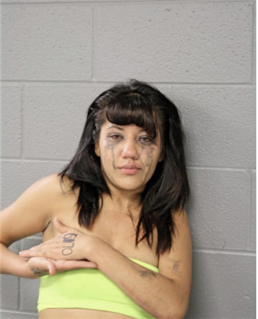 DANIELA ALCANTARA, Cook County, Illinois