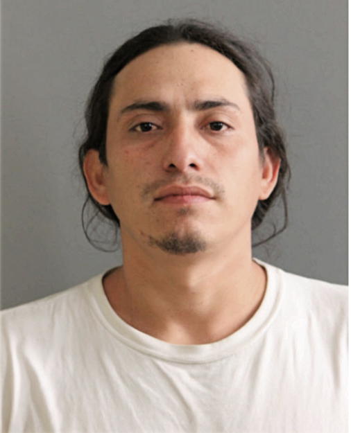 WILMER D CATALAN-RAMIREZ, Cook County, Illinois