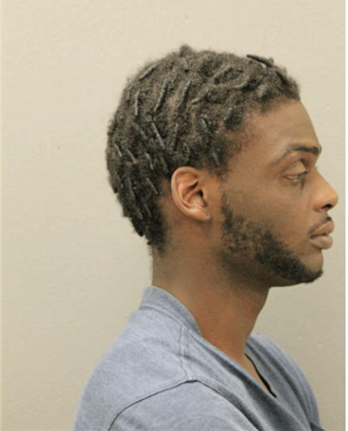 MICHAEL S CEASER, Cook County, Illinois