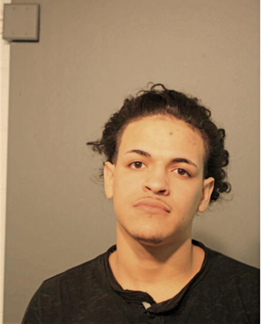JONATHAN J CORTES, Cook County, Illinois