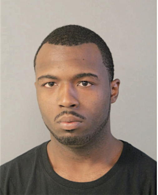 MICHAEL L CUNNINGHAM, Cook County, Illinois