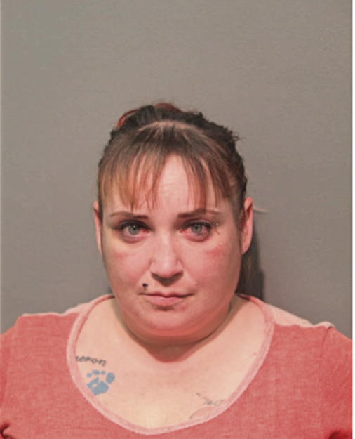 ANAIDA DEJESUS, Cook County, Illinois