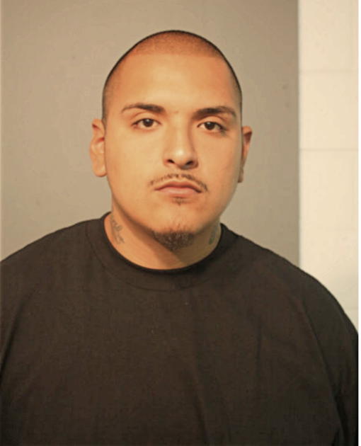 JUAN M DELGADO, Cook County, Illinois