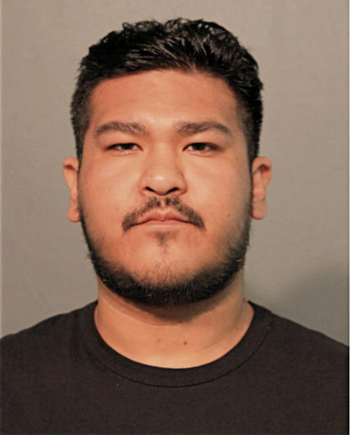 MARVIN DELGADO, Cook County, Illinois