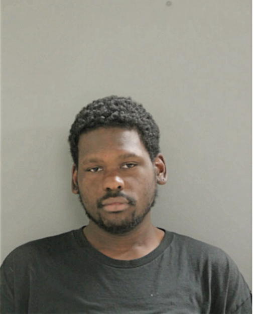 DENNIS L EVANS, Cook County, Illinois