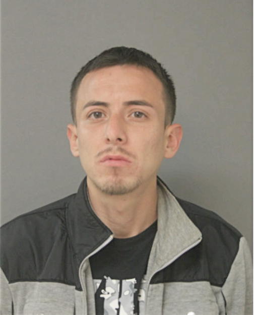 CARLOS FERNANDEZ, Cook County, Illinois