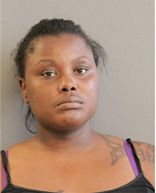 ERICA M FORT, Cook County, Illinois