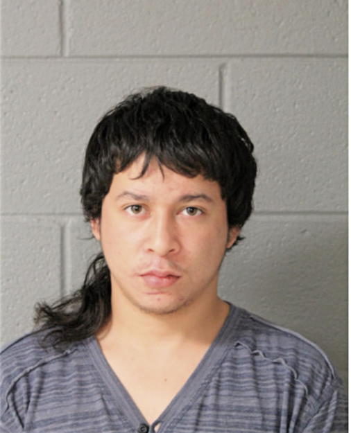 TOSHIHIKO J INIGUEZ, Cook County, Illinois