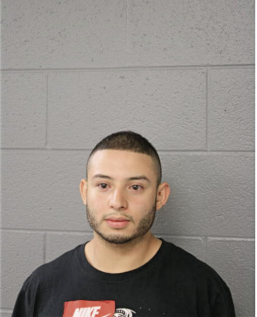 JOSE E LANDA-MONCTEZUMA, Cook County, Illinois