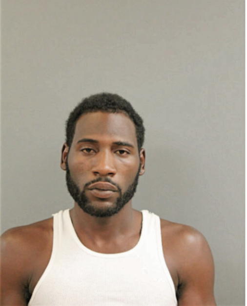 BRIAN L LEWIS, Cook County, Illinois