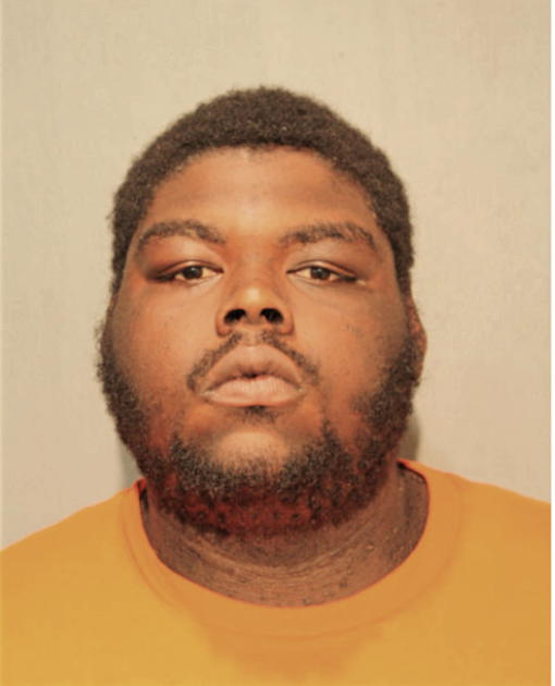LARON LEWIS, Cook County, Illinois