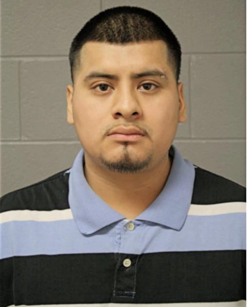 MOISES PALACIOS, Cook County, Illinois