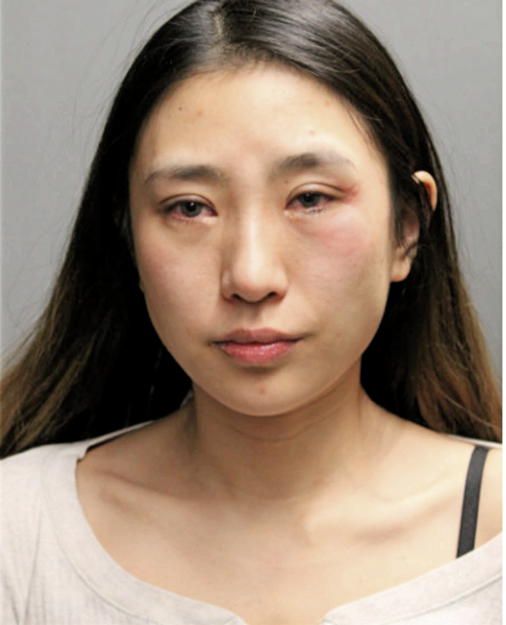 QIANQIAN PENG, Cook County, Illinois