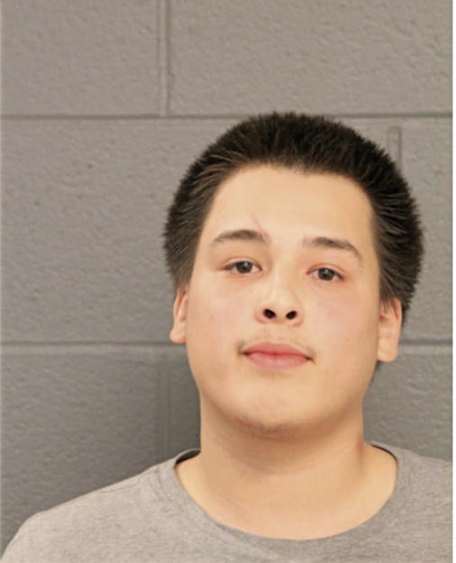 NATHANIAL J ROMAN, Cook County, Illinois