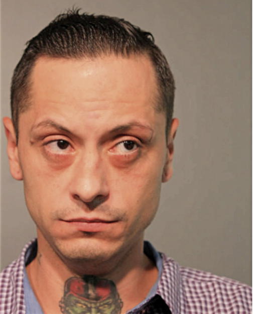 RICARDO M SALINAS, Cook County, Illinois