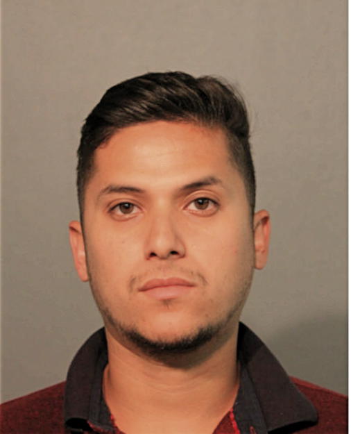 MIGUEL A SILVA, Cook County, Illinois