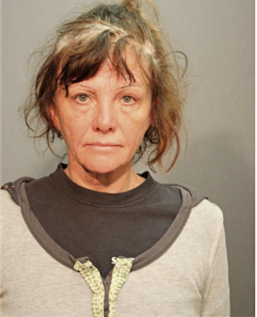 LARAINE I VAVUL, Cook County, Illinois