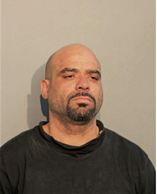 ROBERT N WISE, Cook County, Illinois