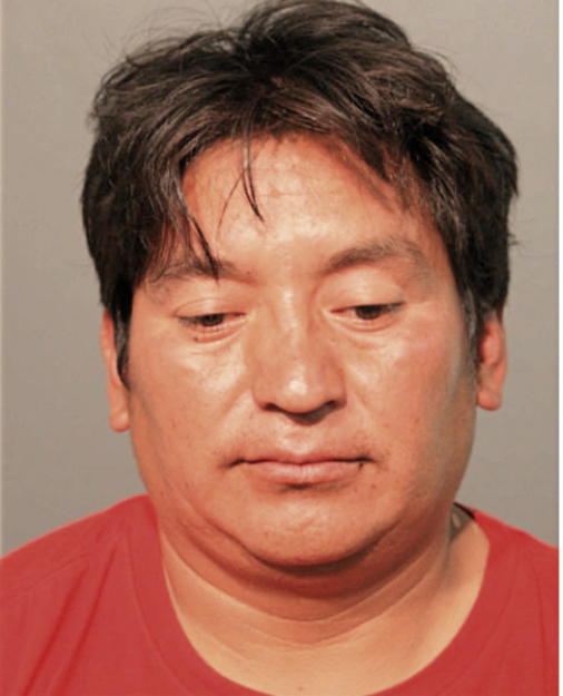 LUIS O ZHIZHIN-GUACHICHULCA, Cook County, Illinois