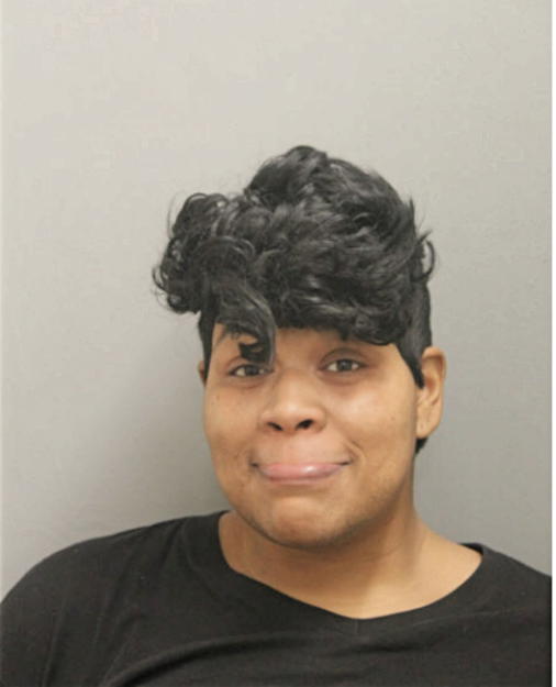 DENISE A WILSON, Cook County, Illinois