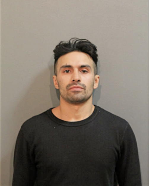 MICHAEL A ANAYA, Cook County, Illinois