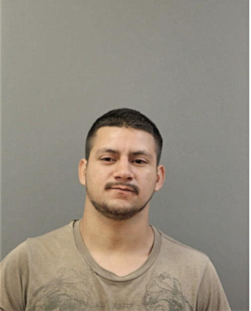 JOSE ARRIETA, Cook County, Illinois