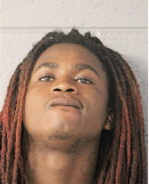 ROBERT D BRENT, Cook County, Illinois