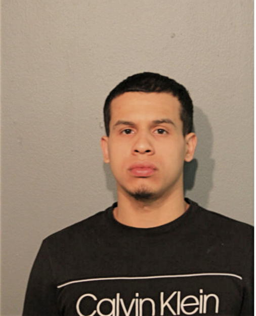 MARIO FLORES, Cook County, Illinois