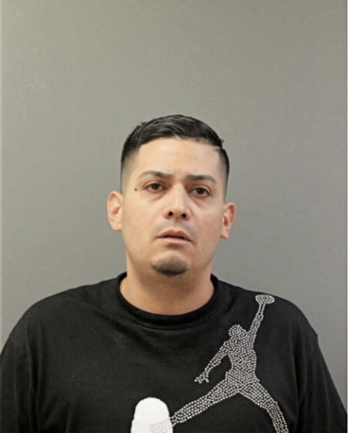 CHRISTIAN L FONTANEZ, Cook County, Illinois