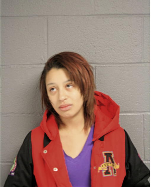 JESSICA L GRAVES, Cook County, Illinois