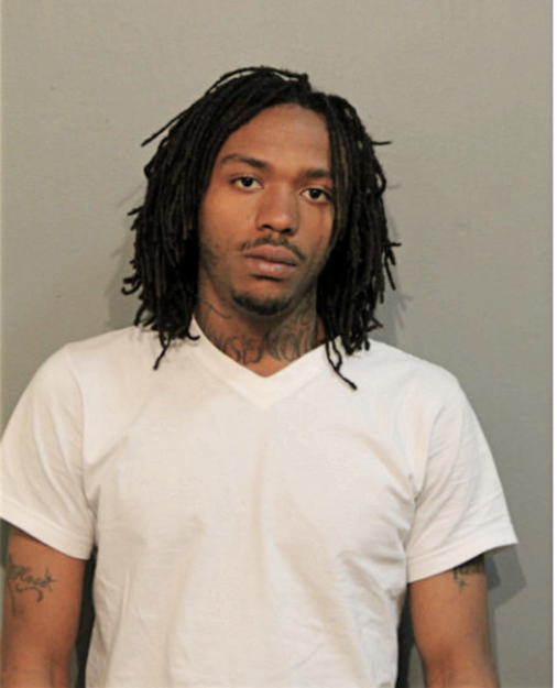 TERRENCE T HAMMOND, Cook County, Illinois