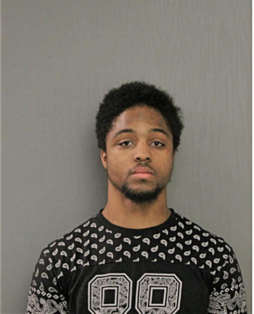 LEE E HOWARD, Cook County, Illinois
