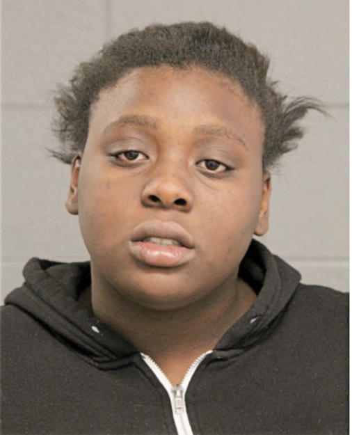 PATRICIA R HUDSON, Cook County, Illinois